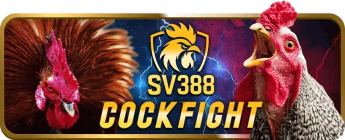 Đăng ký tài khoản 566win code